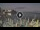 Webcam in Marina di Camerota, 7.8 km