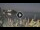 Webcam in Marina di Camerota, 10.3 mi away