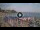 Webcam in Port de plaisance de Camerota, 47.3 km