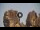 Webcam in Meteora, 69.7 km