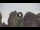 Webcam in Meteora, 45.8 mi away