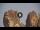 Webcam in Meteora, 66.4 km entfernt