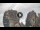 Webcam in Meteora, 170.1 km