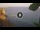 Webcam in Ventotene, 19.3 mi away