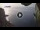 Webcam in Ventotene, 18.5 mi away