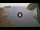 Webcam in Ventotene, 15.5 mi away