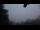 Webcam in Schlögen, 12.3 km