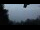 Webcam in Schlögen, 12.3 km