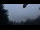 Webcam in Schlögen, 2.6 km