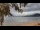 Webcam in Le Morne, 53.7 km