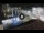 Webcam in Venice, 13.4 mi away