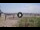 Webcam in Marina di Pietrasanta, 2.7 km