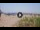 Webcam in Marina di Pietrasanta, 3.7 mi away