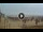 Webcam in Marina di Pietrasanta, 4.4 mi away