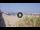 Webcam in Marina di Pietrasanta, 9.7 km