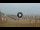 Webcam in Marina di Pietrasanta, 11.6 mi away