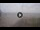 Webcam in Marina di Pietrasanta, 0.6 km