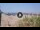 Webcam in Marina di Pietrasanta, 3.3 km entfernt