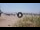 Webcam in Marina di Pietrasanta, 1.7 km