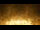 Webcam in Bingen am Rhein, 0.7 mi away