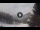 Webcam in Bardonecchia, 9.2 km