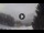 Webcam in Bardonecchia, 3.5 mi away