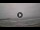 Webcam in Pimienta inglesa, 110.9 km