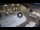 Webcam in Ferrara, 11.1 mi away