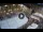 Webcam in Ferrara, 31.7 km