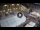 Webcam in Ferrara, 10.4 km