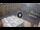 Webcam in Ferrara, 28.6 km