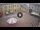 Webcam in Ferrara, 11.1 mi away