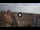 Webcam in Ferrara, 13.8 km