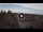 Webcam in Ferrara, 0.1 km