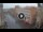 Webcam in Ferrara, 0.2 km