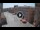 Webcam in Ferrara, 0.2 km