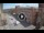 Webcam in Ferrara, 16.8 mi away
