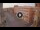 Webcam in Ferrara, 16.1 mi away