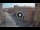 Webcam in Ferrara, 38 km
