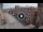 Webcam in Ferrara, 0.2 km