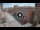 Webcam in Ferrara, 28.7 km