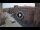 Webcam in Ferrara, 7.5 mi away