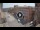 Webcam in Ferrara, 4.1 mi away