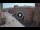 Webcam in Ferrara, 20.3 km entfernt