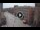 Webcam in Ferrara, 0.1 mi away