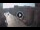 Webcam in Ferrara, 0.2 km