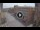 Webcam in Ferrara, 0.1 mi away