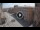 Webcam in Ferrara, 43.7 km