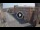 Webcam in Ferrara, 16.3 mi away