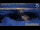 Webcam in Mallnitz, 12.1 km entfernt